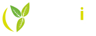 Ylancia-Conseil