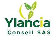 Ylancia-Conseil